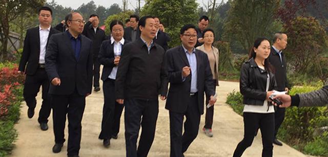 湖南省省长许达哲考察调研资源湘西黑猪产业园